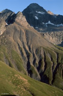 Alpage du Valgaudemar. Hautes-Alpes