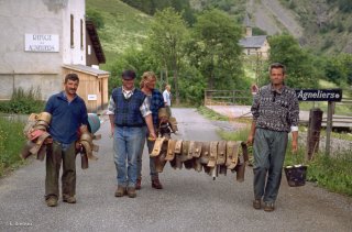 Les bergers ôtent les sonnailles de la transhumance. Alpage du col d'Allos