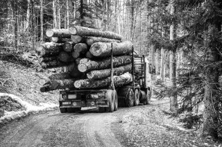 Camion grumier en forêt de Chichilianne. Avril 2013