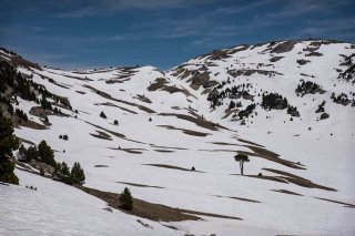 Plaine de la Queyrie