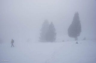 Brouillard vers les Rochers du Parquet