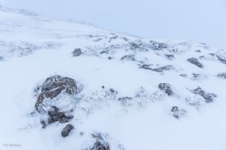 Pelouse et rochers givrés un matin dans le brouillard au pied du Grand Vermont. Isère