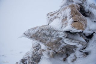 Rochers givrés un matin dans le brouillard au pied du Grand Vermont. Isère