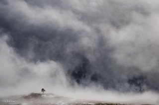 Au pied du Grand Veymont. Isère