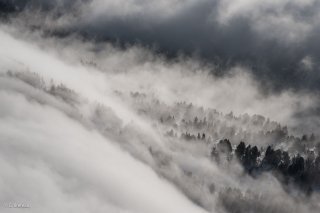La mer de nuages tombe sur la forêt sous le Pas de Chattons. Réserve naturelle des hauts plateaux du Vercors. Isère