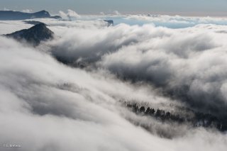 La mer de nuages tombe sur la forêt sous le Pas de Chattons. Réserve naturelle des hauts plateaux du Vercors. Isère