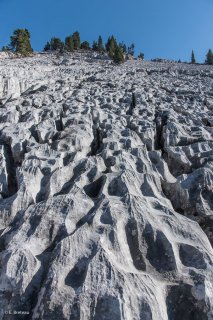 Lapiaz (érosion du calcaire) sur les hauts plateaux du Vercors. Isère