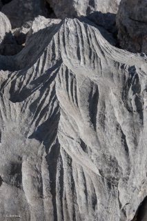 Lapiaz (érosion du calcaire) sur les hauts plateaux du Vercors. Isère