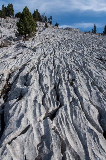 Lapiaz (érosion du calcaire) sur les hauts plateaux du Vercors. Isère