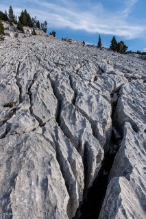 Lapiaz (érosion du calcaire) sur les hauts plateaux du Vercors. Isère