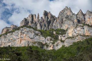 Falaises dans le Cirque d'Archiane