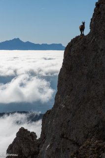 Etagne au dessus du col des Deux Soeurs