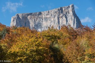 Le mont Aiguille émerge d'une hêtraie aux couleurs d'automne