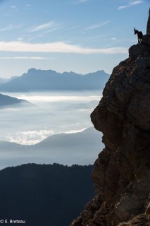 Une étagne perchée sur la vire d'une falaise