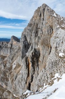 La Grande Moucherolle