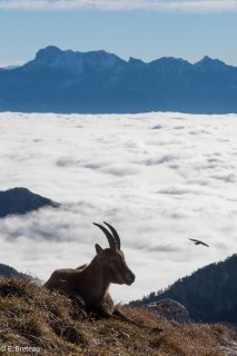 Étagne sur le Grand Veymont devant l'Obiou