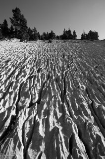 Lapiaz. Erosion de la roche calcaire