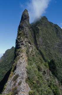 Ile Robinson Crusoé. Arête d'accès pour l'ascension au sommet du mont Yunque