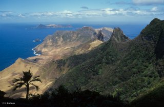 Ile Robinson Crusoé. Vallée de Villagra et Tres Puntas