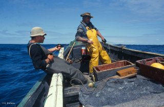 Ile Robinson Crusoé. Antonio et Popito pêcheurs de langoustes remontent les casiers