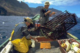 Ile Robinson Crusoé. Antonio et Popito, pêcheurs de langoustes. Les langoustes doivent faire une cote minimale, les petites sont rejetées à la mer