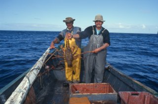 Ile Robinson Crusoé. Antonio et Popito, pêcheurs de langoustes. Une prise exceptionnelle de 7 kg