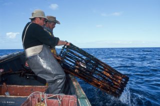 Ile Robinson Crusoé. Antonio et Popito pêcheurs de langoustes. Relevé des Casiers