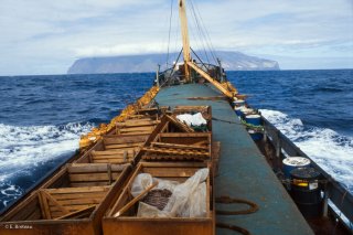 Arrivée du cargo El Navarino sur l'île de Selkirk. Une fois tous les mois ou tous les deux mois, le bateau amène les victuailles aux pêcheurs, il repartira chargé de langoustes en viviers