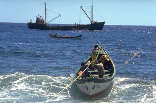 Ile Alexander Selkirk. Les barques font les allers retours entre le Cargo qui amène des victuailles pour les pêcheurs et repartira avec les langoustes pêchées depuis 1 mois ou deux