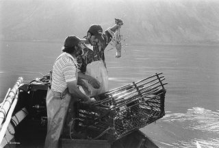 Ile de Selkirk. Pêcheurs de langouste