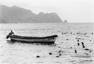 Ile Robinson Crusoé. Un garde du parc attend dans la barque sous la surveillance des otaries