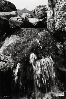 Torrent de la Vallée des Merveilles