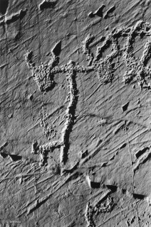 Vallée des Merveilles, deux bovins attelés à une araire