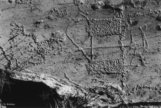 Fontanalbe. Scène de labours avec un attelage de bovins, un personnage guide l'attelage devant et un autre tient le soc à l'arrière