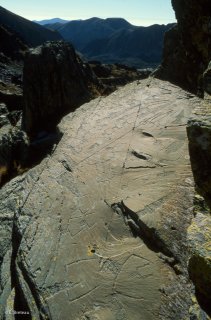 Vallée des Merveilles. Représentations de corniformes, d'attelages et de poignards