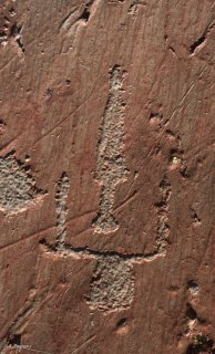 Vallée des Merveilles. Représentation d'un poignard entre les cornes d'une figure de bovin.