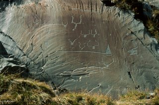 Vallée des Merveilles. Représentation de nombreux corniformes autour d'une hallebarde