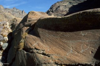 Vallée des Merveilles. Représentations de Corniformes et d'une hallebarde