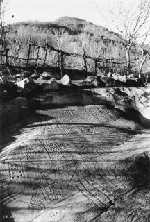 La Mappa di Bedolina. Représentation géographique des cultures et du village?