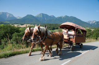 Voiture à cheval