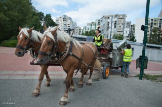 Ramassage des poubelles des parcs à Grenoble