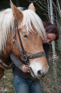 Association Equipage. Valérie Colin prépare son cheval pour le débardage