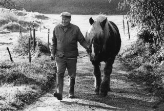 Pierre Nivon et Coquet son cheval de trait à Saint-Martin d'Août dans la Drôme. Décembre 2002