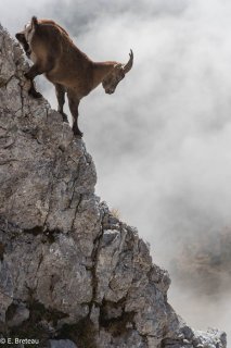 étagne dans le Vercors