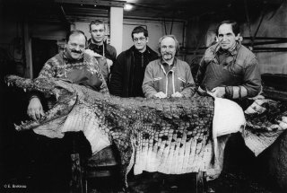 Tannerie d'animaux exotiques à Attignat-Oncin