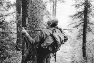 Marquage et mesure des arbres à abattre par le garde ONF