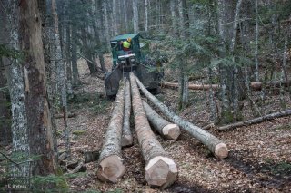 Eric Messa tire les grumes avec son tracteur débardeur. Chantier à Châtel en Trièves, Isère