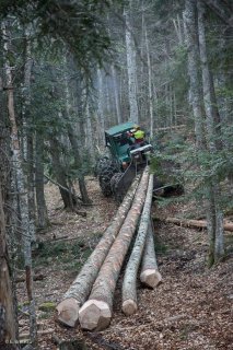 Eric Messa tire les grumes avec son tracteur débardeur. Chantier à Châtel en Trièves, Isère