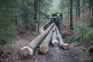 Eric Messa tire les grumes avec son tracteur débardeur. Chantier à Châtel en Trièves, Isère