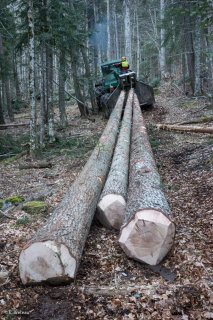 Eric Messa tire les grumes avec son tracteur débardeur. Chantier à Châtel en Trièves, Isère